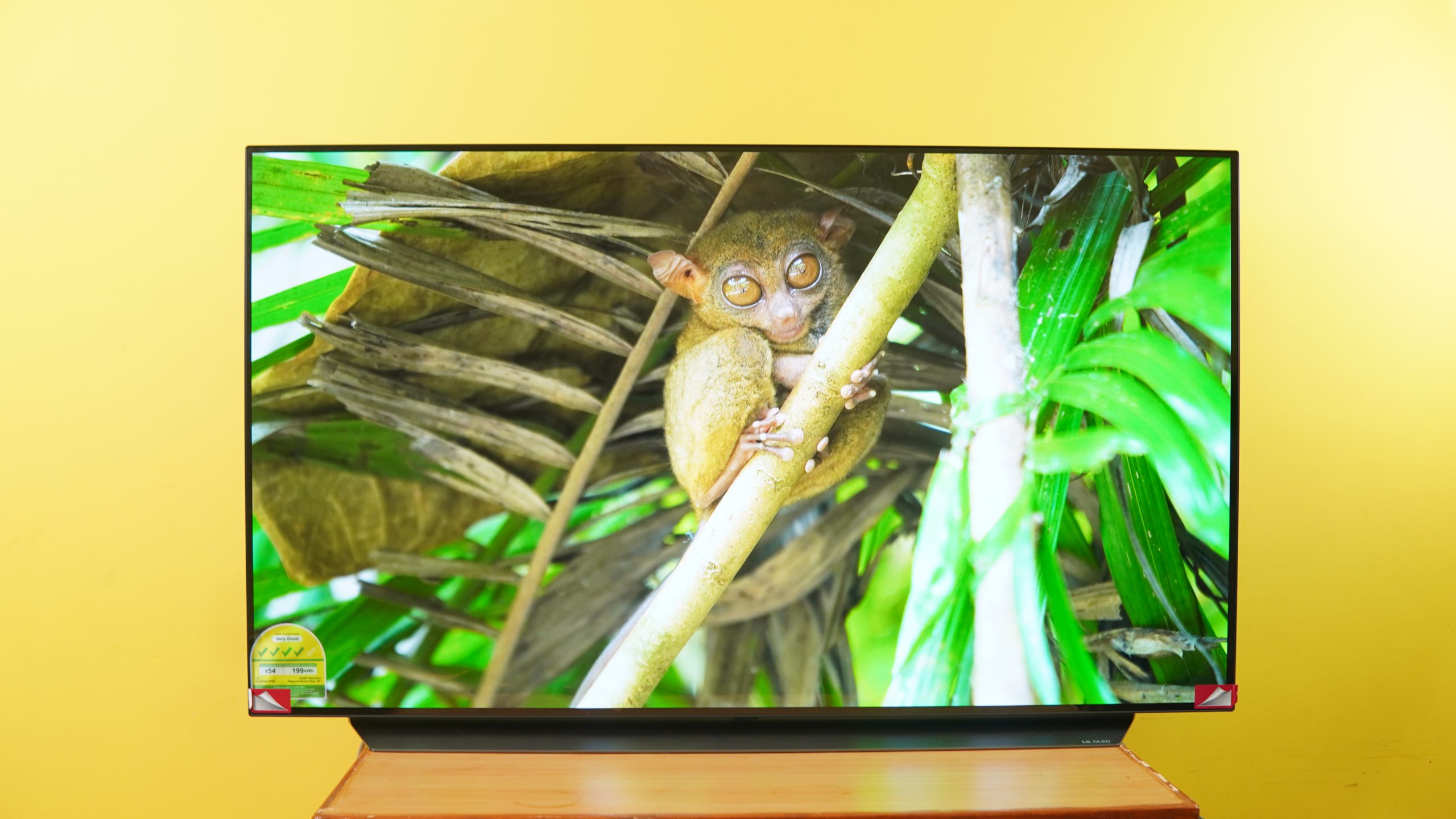 LG C1 OLED Review Best 4K OLED TV in Nepal
