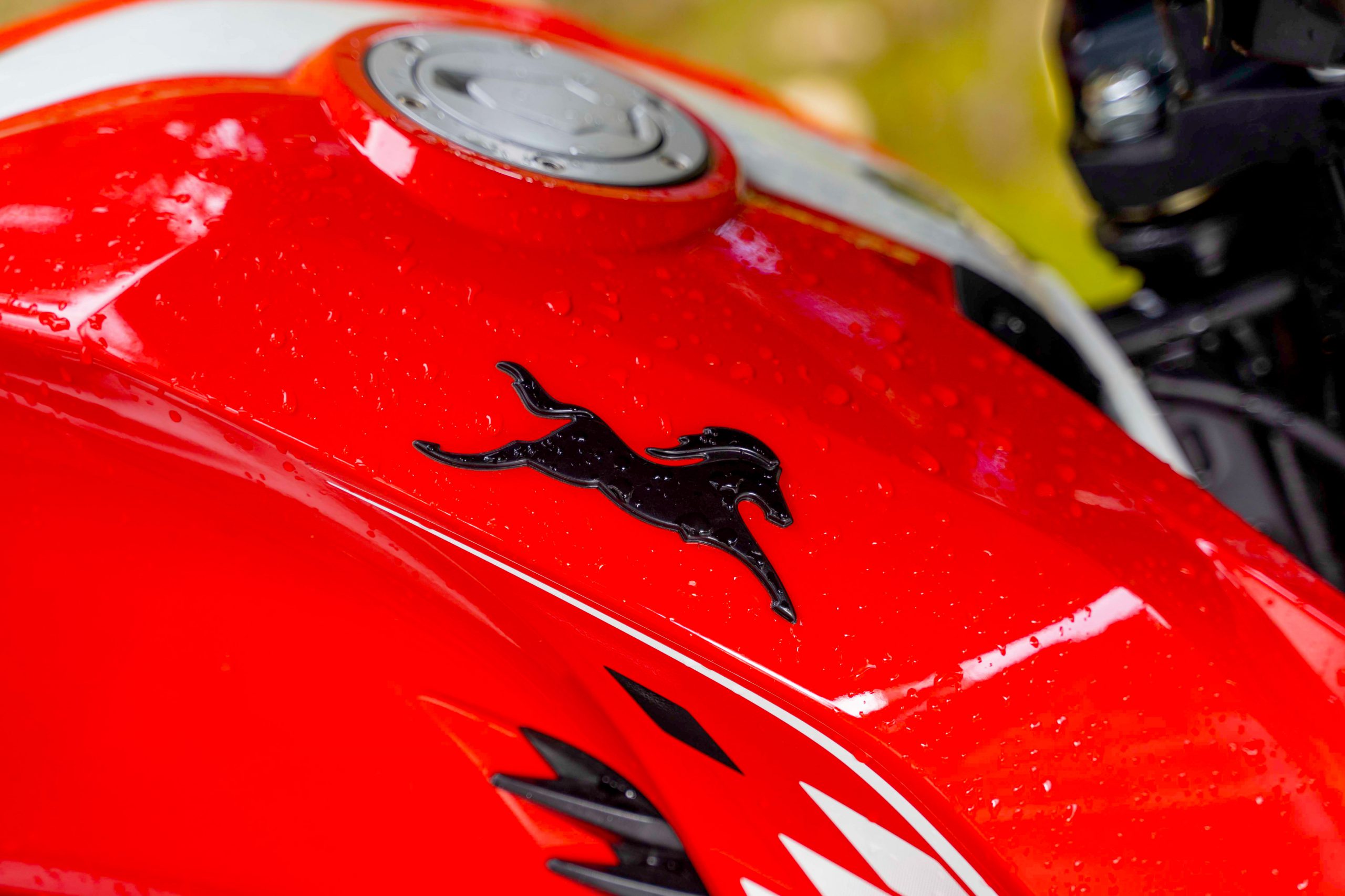 TVS Logo in TVS Apache RTR 160 4V