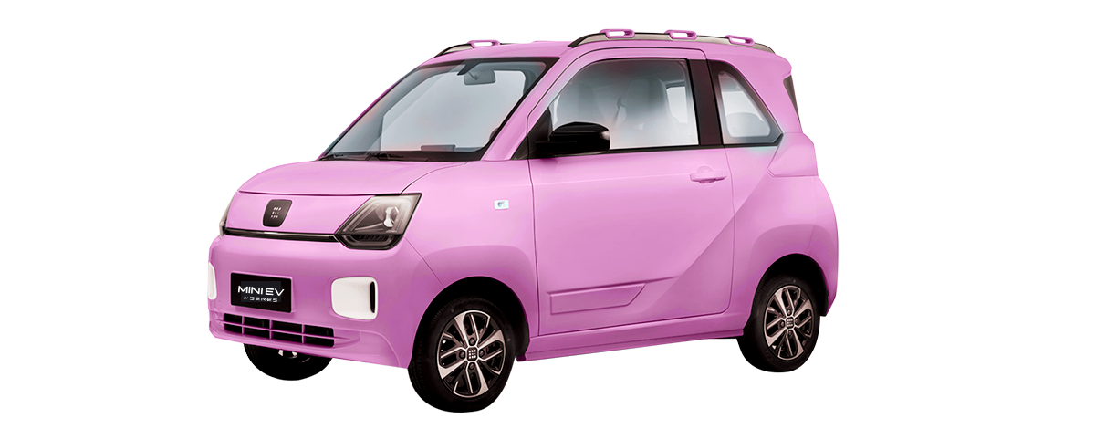 Pink Color - Seres Mini EV