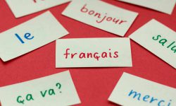 How are French learning websites helpful for students?