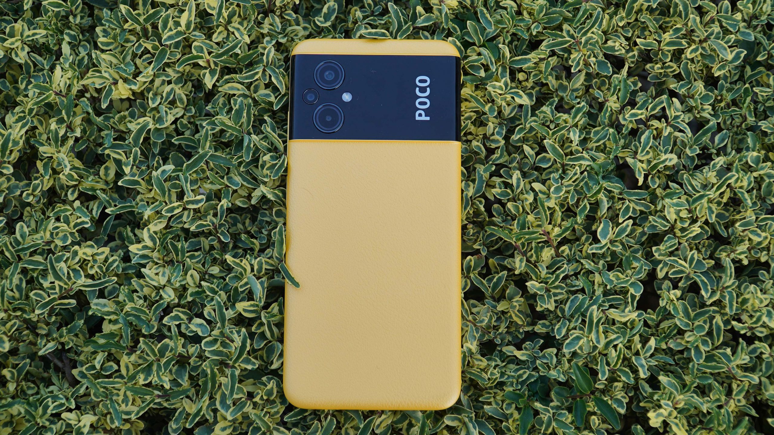 Poco M5 Review