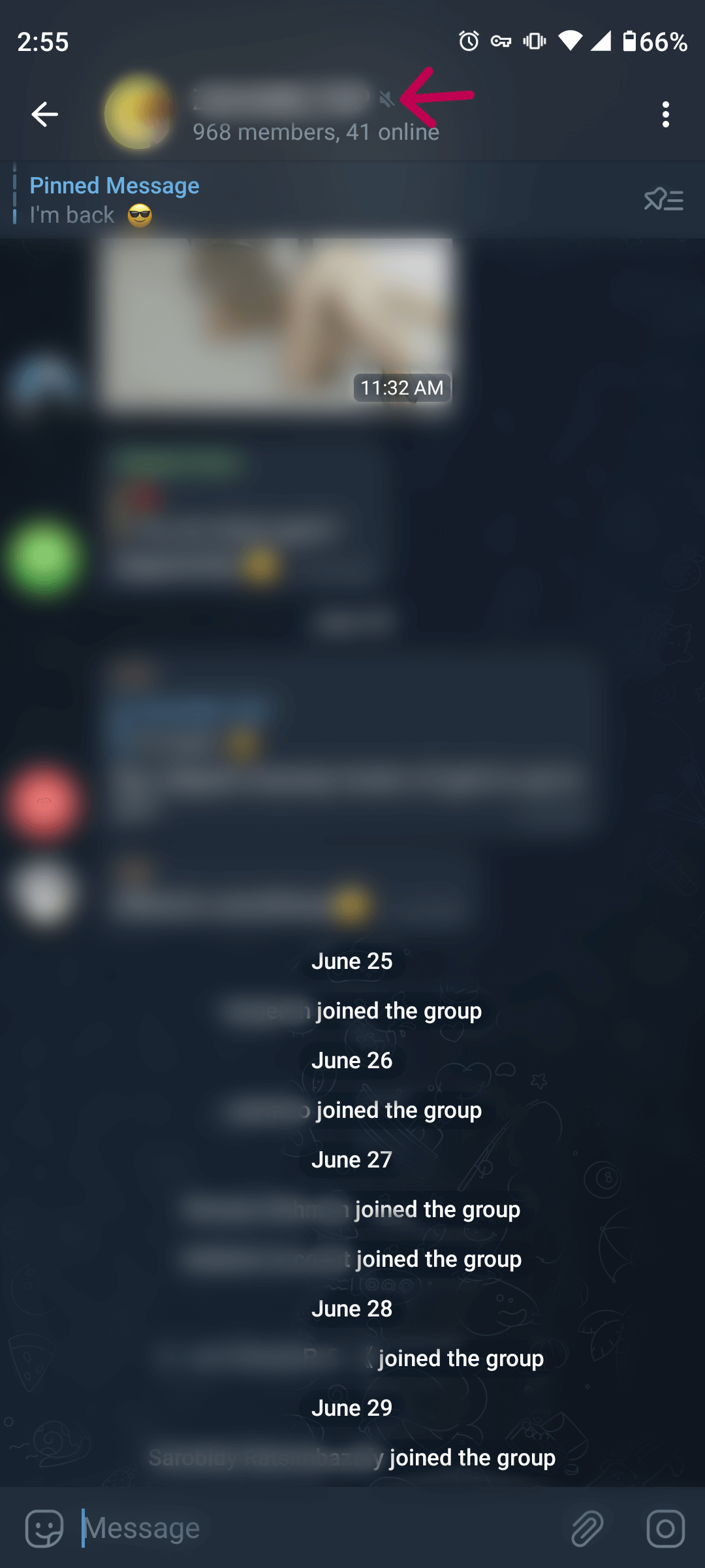 telegram muted group