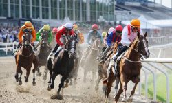 Key Apps for Horseracing Fans