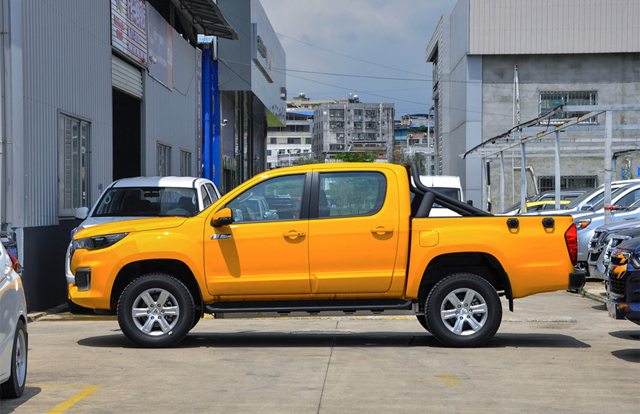 Side Styling in Foton eTunland
