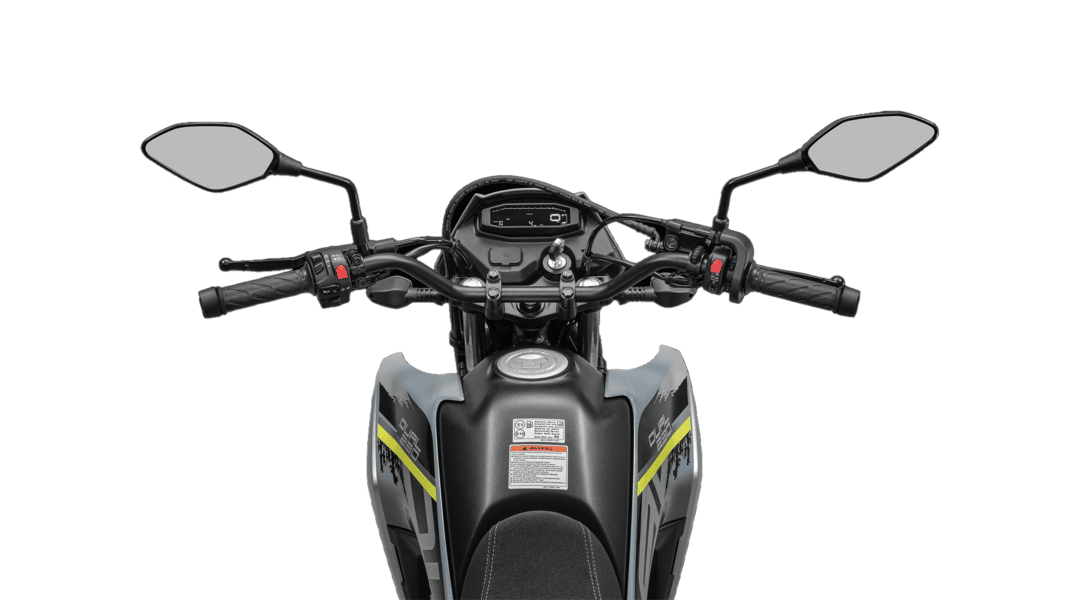 Instrument Cluster in CF Moto 250 Dual