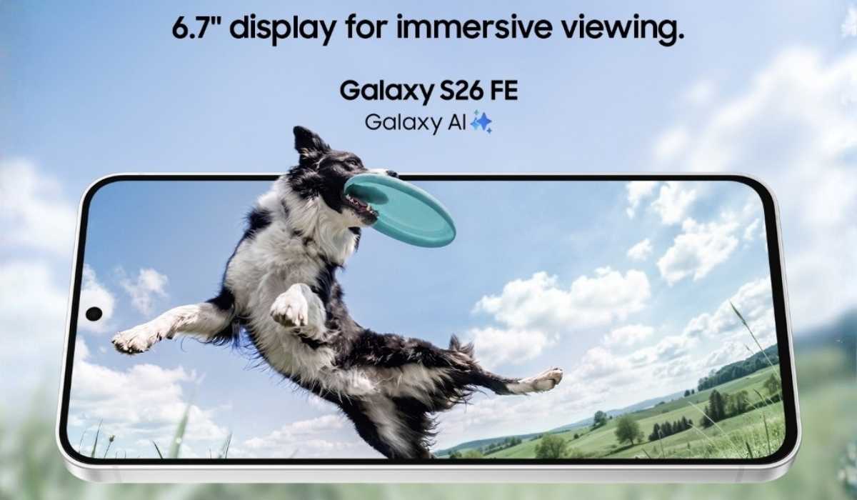 Samsung Galaxy S26 FE Display